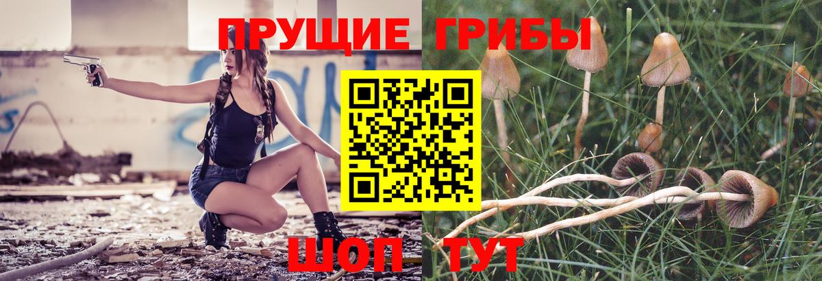 Псилоцибиновые грибы Psilocybine cubensis  Вход с VPN  Гурьевск  Галлюциногенные грибы Cubensis 